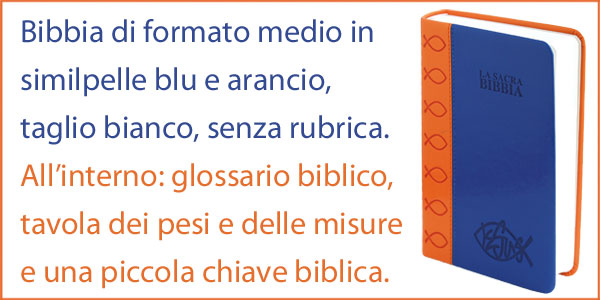 Bibbia Nuova Diodati a caratteri grandi (171.240) Blu, taglio bianco senza  rubrica, Formato grande