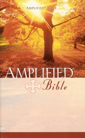 Amplified Bible Economic Paperback