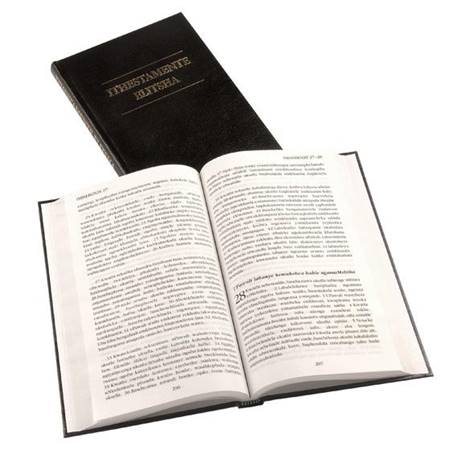 Nuovo Testamento in lingua Ndebele (Zimbabwe) - Ithestamente Elitsha (Copertina rigida)