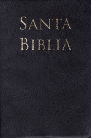 Biblia Letra Grande con Referencias RVR60 - Negro (PVC)