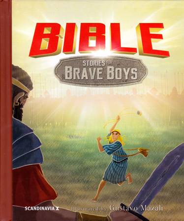Bible stories for brave boys (Copertina rigida)