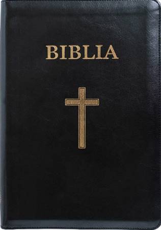 Bibbia in Rumeno