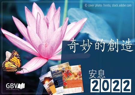 Calendario mensile da parete in Cinese 2022