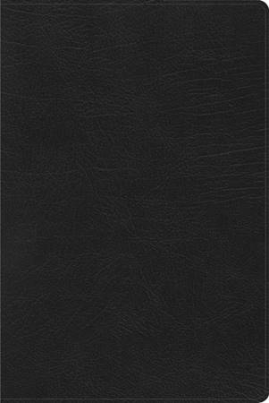 RVR60 Biblia de Estudio Arcoiris (Similpelle)