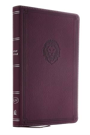 KJV Thinline Bible Youth Edition Burgundy