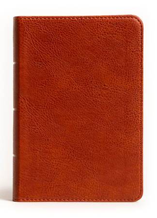 NASB Large Print Compact Reference Bible Burnt Sienna