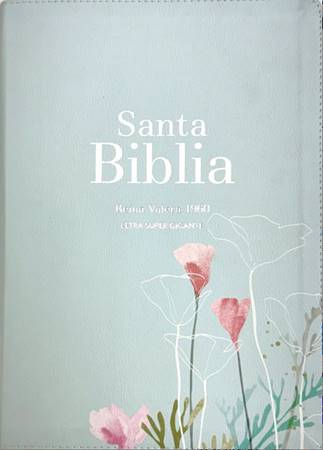 RVR60 Biblia Letra Grande Menta Fresca