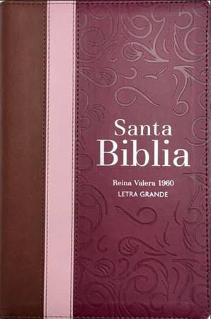 RVR60 Biblia Letra Grande Tricolor Guinda-Rosa-Marrón con Cierre e Índice