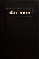 Bibbia Punjabi Media Taglio Rosso (PVC)