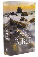 NKJV Holy Bible Large Print (Brossura)