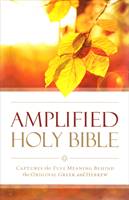 Amplified Outreach Bible (Brossura)