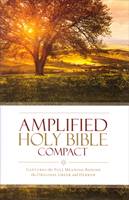 Amplified Holy Bible (Copertina rigida)