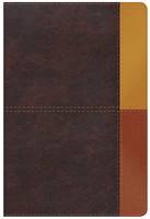 RVR60 Biblia de Estudio Arcoiris Multicolor (Similpelle)