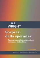 Sorpresi dalla speranza (Brossura)