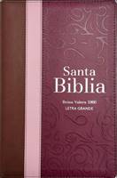 RVR60 Biblia Letra Grande Tricolor Guinda-Rosa-Marrón con Cierre e Índice (Similpelle)