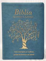 Bibbia in rumeno Speranza nella sofferenza Blu polvere - 20699 (Similpelle)
