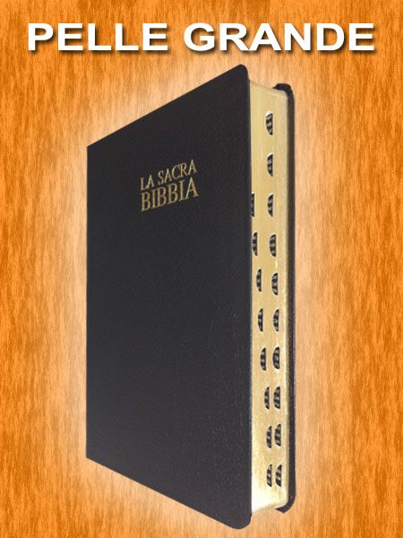 Bibbia Nuova Diodati - B03PNR - Formato grande