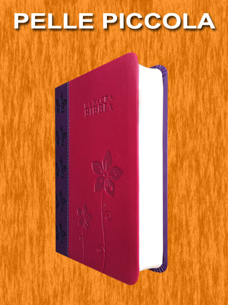 Bibbia Nuova Diodati - C03V - Formato piccolo