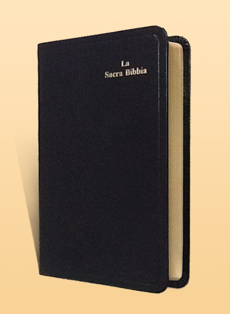 La Sacra Bibbia Diodati (1037): Taglio oro, senza rubrica (9788823710375):  www.