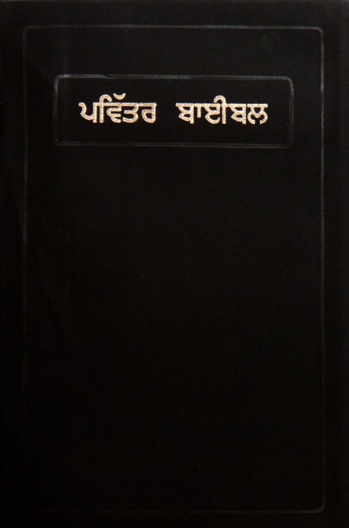 Bibbia Punjabi Media Taglio Rosso