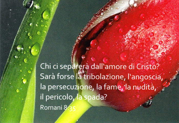 50 Biglietti Con Versetto Biblico Set N 6 Www Clcitaly Com