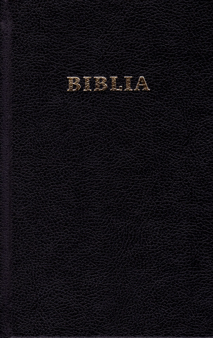 Bibbia in Rumeno