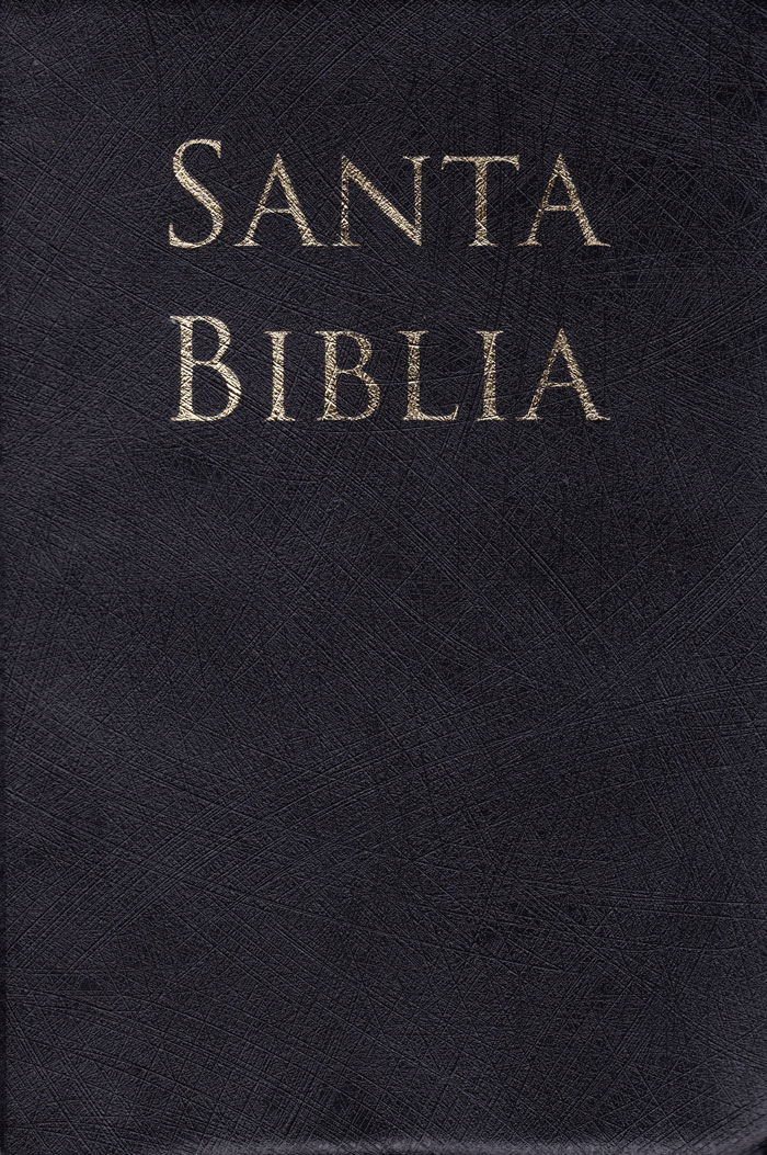 Biblia Letra Grande con Referencias RVR60 - Negro