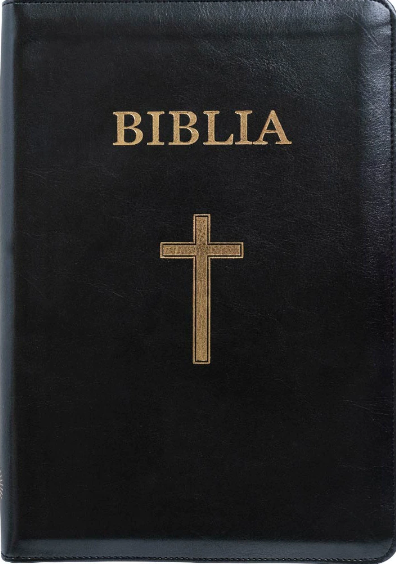Bibbia in Rumeno