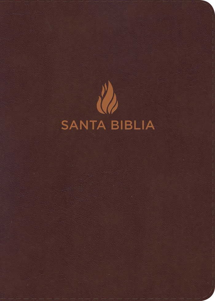 RVR60 Biblia Letra Gigante Marrón