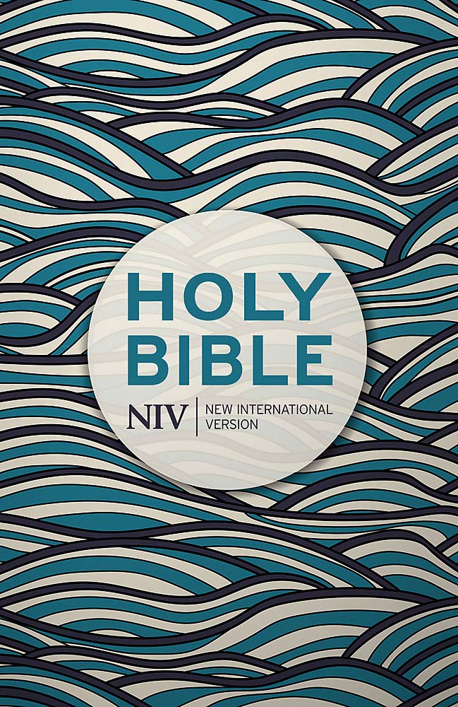 NIV Holy Bible Waves