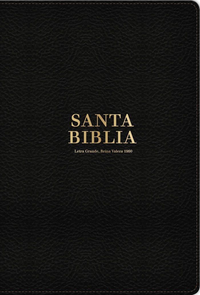 RVR60 Biblia Letra Grande Tamaño Manual Negro