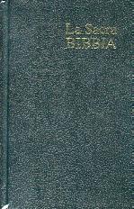 Bibbia Nuova Diodati - B03FC - Formato grande - Revisione 1991/2003