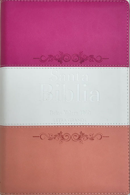RVR60 Biblia Letra Grande Tricolor Fucsia-Crema-Melón con Cierre e Índice