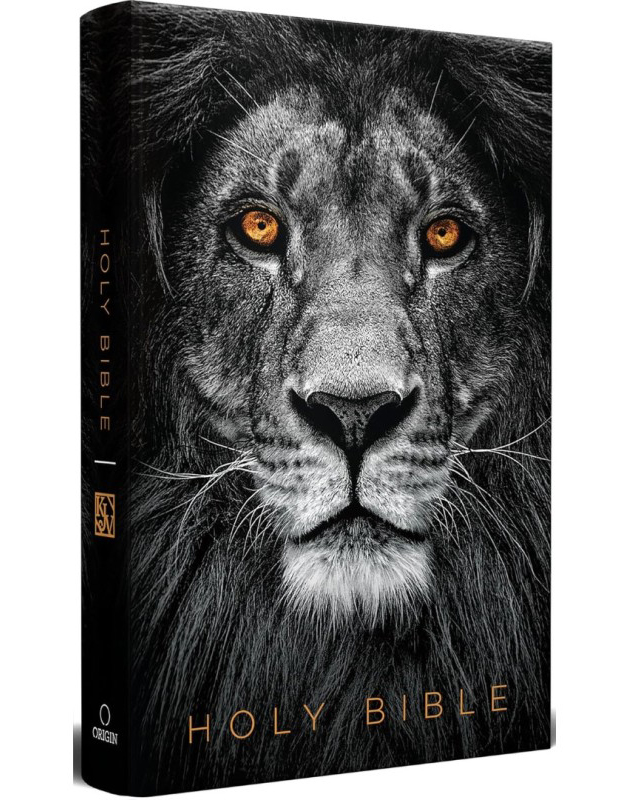 KJV Holy Bible Large Print Handy Size Format