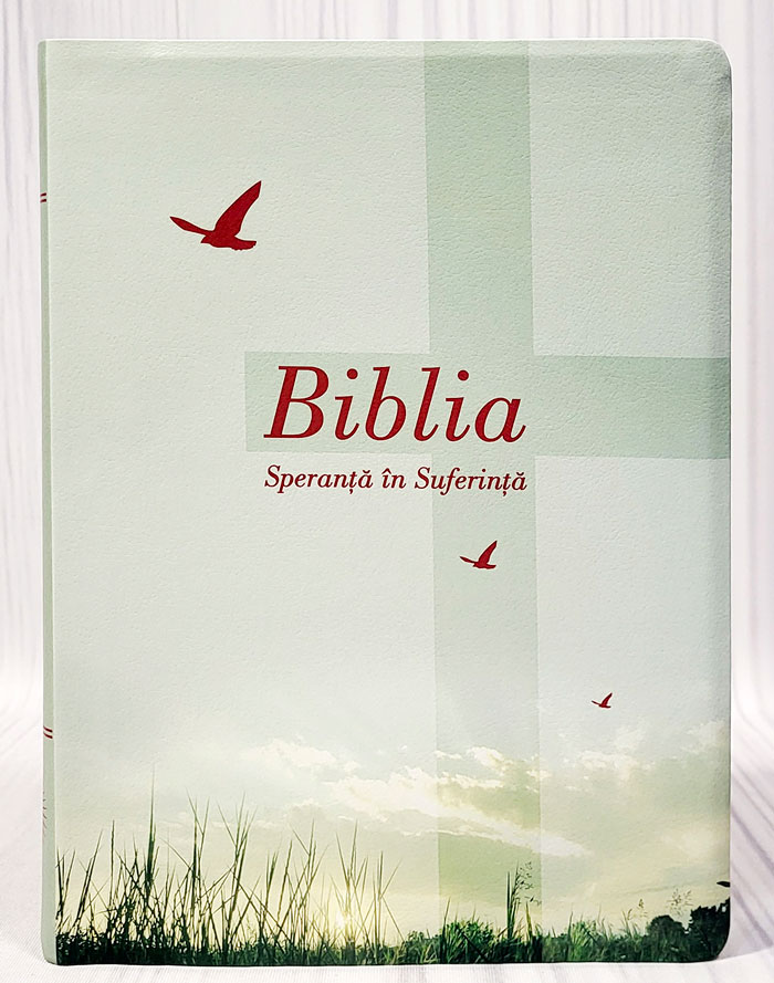 Bibbia in rumeno Speranza nella sofferenza Verde - 20700