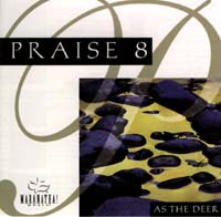 Praise 08 / Instrumental Praise 08