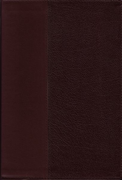 KJV Commentary Bible - Large print, red letter edition