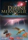 Divine meraviglie DVD - Esplorando le meraviglie della creazione